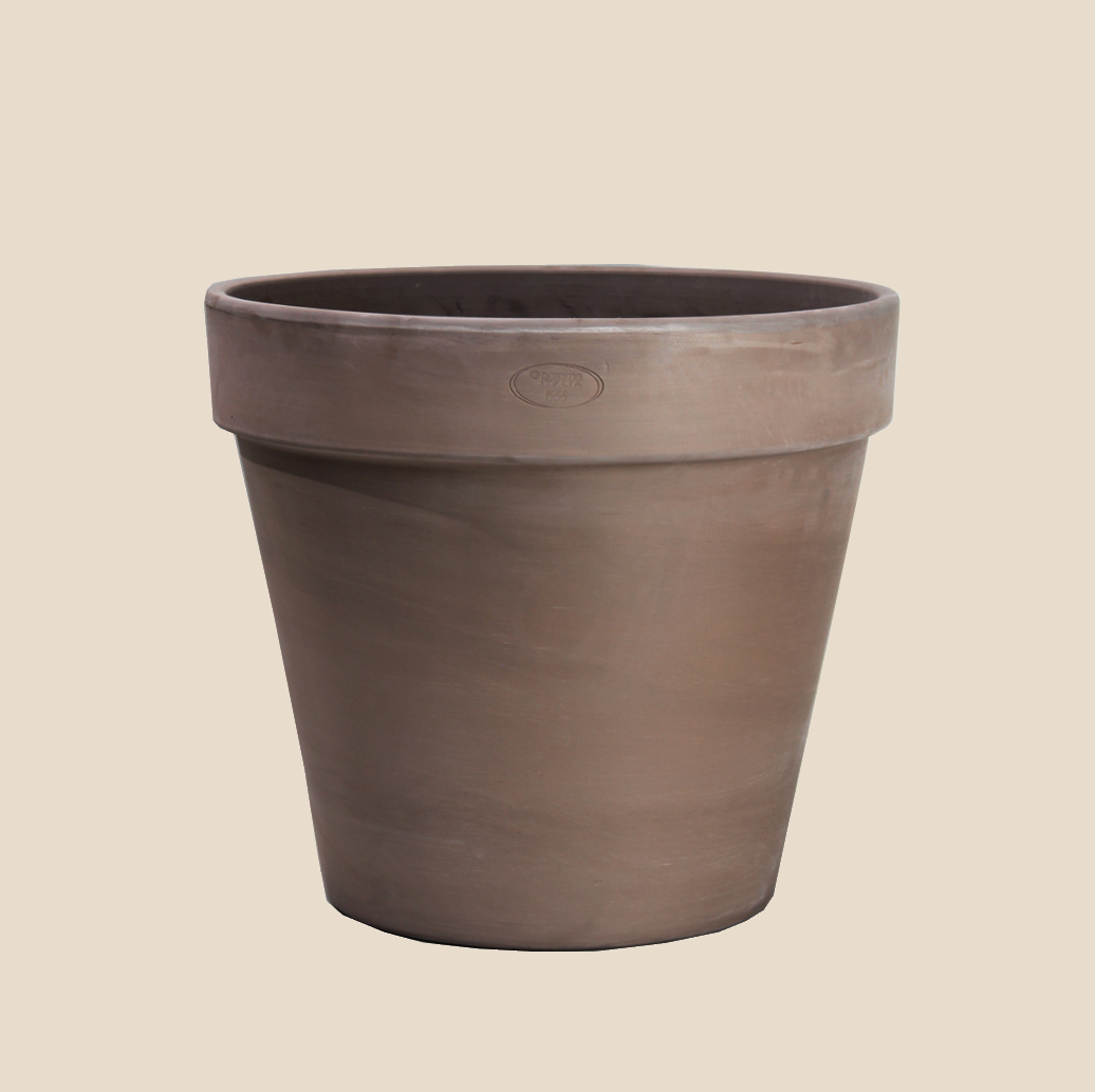 Graphite Contempo