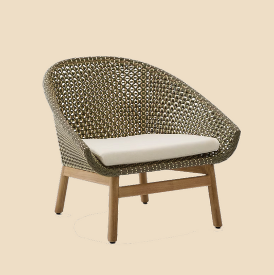 (PRE-ORDER BY 20 NOV FOR EARLY DEC DELIVERY) Olly Armchair