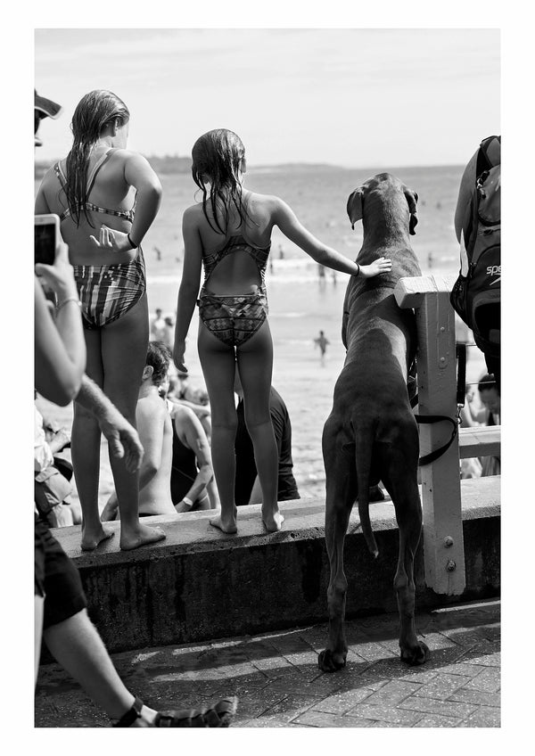 Julie Adams. Great Dane, Manly Beach, 2017