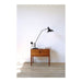 Mantis Table Lamp